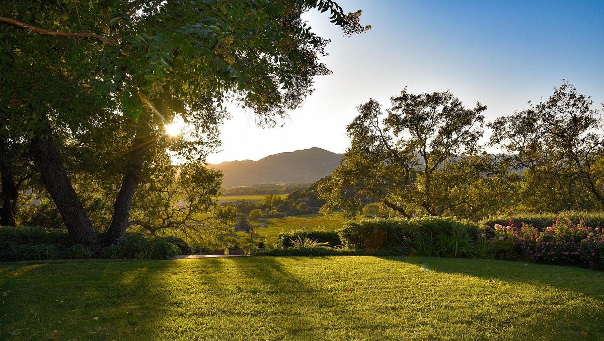 green landscape in sunlight under a blue sky