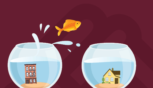 goldfish jumping between two fish bowls